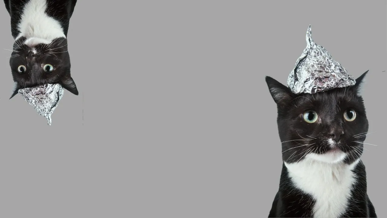 Заказчики: от параноиков до экстравагантных — как не сойти с ума и заработать